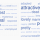 adjectives